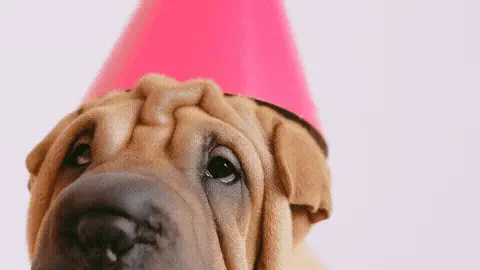 Happy Birthday GIF Template 139433 editable GIF template preview