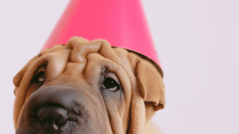 Happy Birthday GIF Template 139433 editable GIF template preview