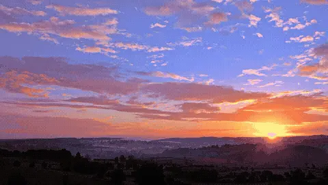 Good Morning GIF Template 1513802 editable GIF template preview