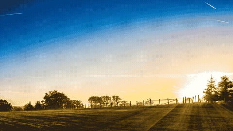 Good Morning GIF Template 1695469 editable GIF template preview