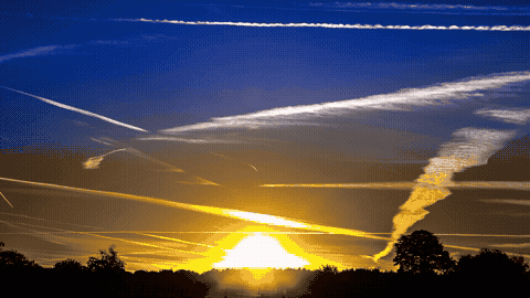 Good Morning GIF Template 1699959 editable GIF template preview