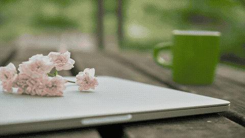 Good Morning GIF Flowers Template 3489455 editable GIF template preview