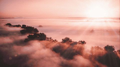 Good Morning GIF Nature Template 8361032 editable GIF template preview