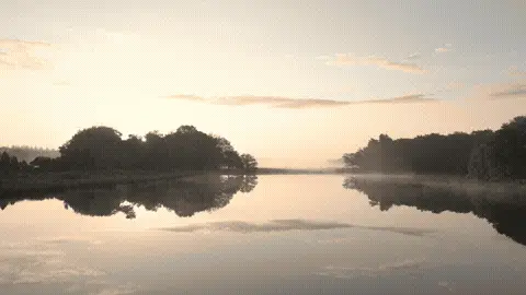 Good Morning GIF Nature Template 177223 editable GIF template preview
