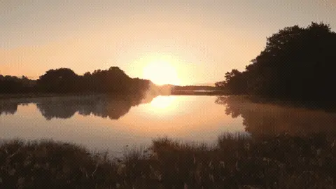 Good Morning GIF Sunrise Template 209626 editable GIF template preview