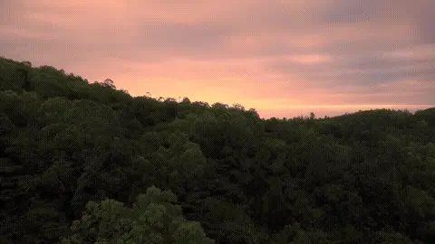 Good Morning GIF Sunrise Template 2119 editable GIF template preview