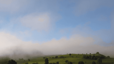 Good Morning GIF Sunlight Template 231494 editable GIF template preview