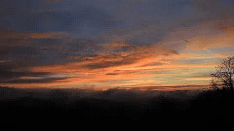 Good Morning GIF Sunrise Template 244470 editable GIF template preview