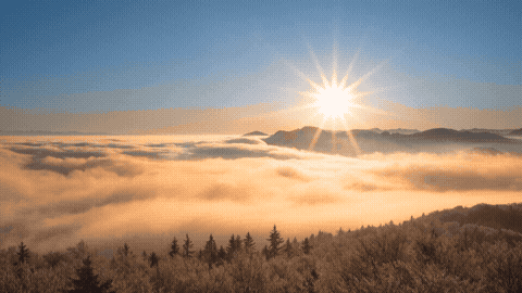 Good Morning GIF Sunrise Template 260397 editable GIF template preview