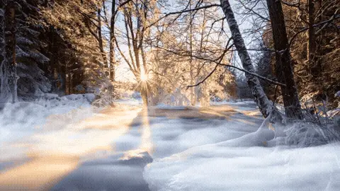 Good Morning GIF Sunlight Template 31549 editable GIF template preview