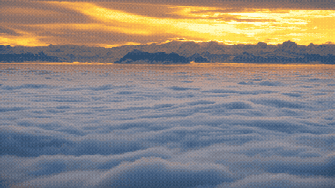 Good Morning GIF Sunlight Template 322480 editable GIF template preview