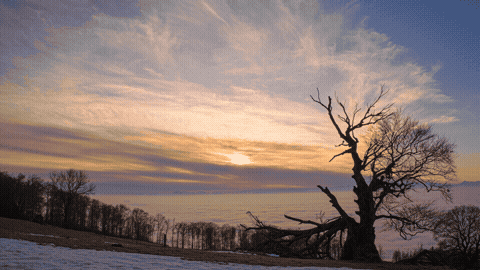 Good Morning GIF Sunlight Template 331030 editable GIF template preview