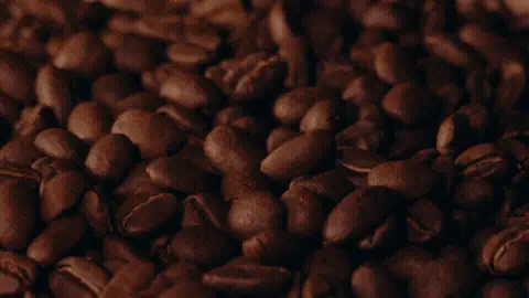 Good Morning GIF Coffee Template 40167 editable GIF template preview