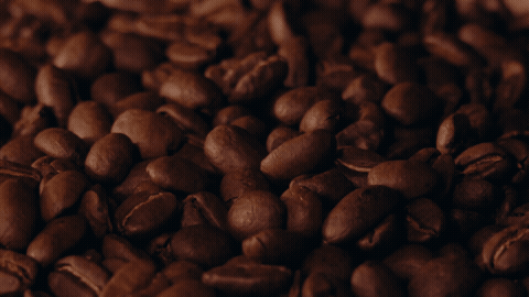 Good Morning GIF Coffee Template 40167 editable GIF template preview