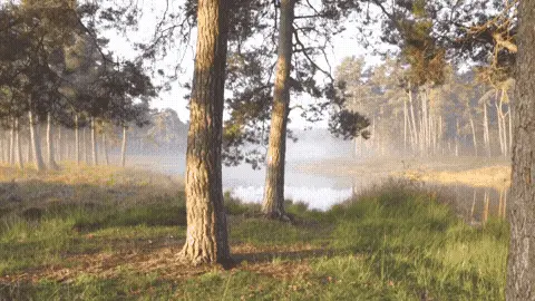 Good Morning GIF Sunrise Template 50746 editable GIF template preview